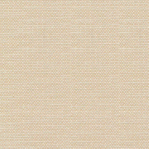 Standing Ovation Cameo by Kasmir Fabric