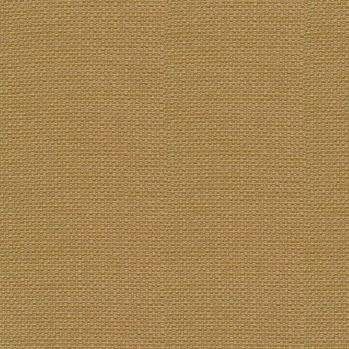 Standing Ovation Canyon by Kasmir Fabric 1376 INDIA 30,000 Wyzenbeek Double Rubs H: N/A, V:N/A 54 - 55 - Fabric Carolina - Kasmir