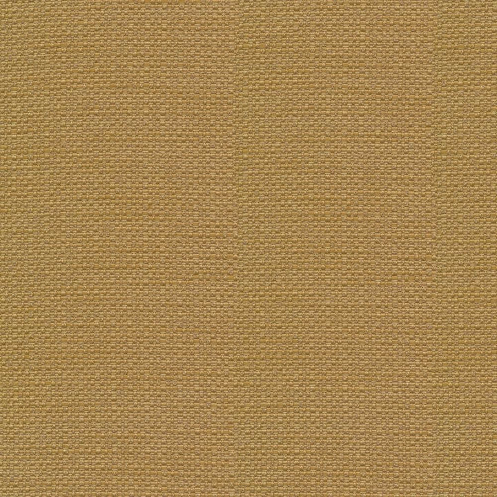 Standing Ovation Canyon by Kasmir Fabric 1376 100% Polyester
 INDIA 30,000 Wyzenbeek Double Rubs Horizontal: N/A and Vertical: N/A 54 - Fabric Carolina -