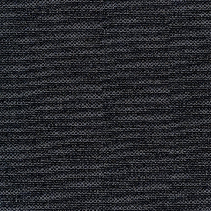 Standing Ovation Charcoal by Kasmir Fabric 1376 INDIA 30,000 Wyzenbeek Double Rubs H: N/A, V:N/A 54 - 55 - Fabric Carolina - Kasmir