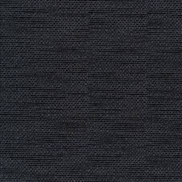 Standing Ovation Charcoal by Kasmir Fabric 1376 100% Polyester INDIA 30,000 Wyzenbeek Double Rubs H: N/A, V: N/A 54 - 55 - Fabric Carolina - Kasmir