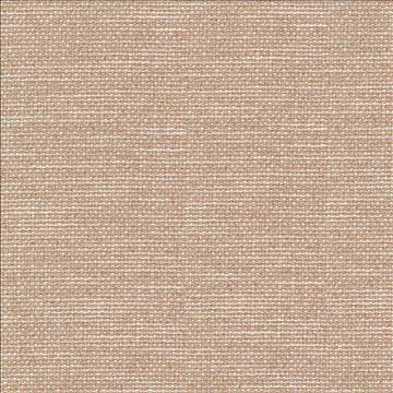 Standing Ovation Dune by Kasmir Fabric 1376 100% Polyester INDIA 30,000 Wyzenbeek Double Rubs H: N/A, V: N/A 54 - 55 - Fabric Carolina - Kasmir