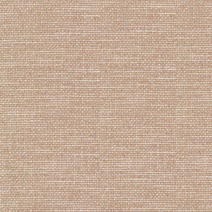 Standing Ovation Dune by Kasmir Fabric 1376 INDIA 30,000 Wyzenbeek Double Rubs H: N/A, V:N/A 54 - 55 - Fabric Carolina - Kasmir