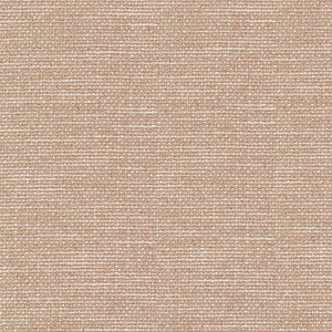 Standing Ovation Dune by Kasmir Fabric