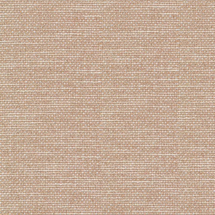 Standing Ovation Dune  by Kasmir Fabric See sample 100% Polyester
 INDIA 30,000 Wyzenbeek Double Rubs </p><p>Repeat: Horizontal: N/A and Vertical: N/A 54  - Fabric Carolina -