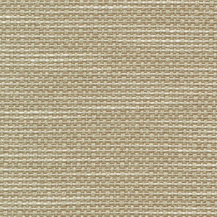 Standing Ovation Frost by Kasmir Fabric 1376 100% Polyester
 INDIA </p><p>Repeat: Horizontal: N/A and Vertical: N/A 54 - 55 - Fabric Carolina -