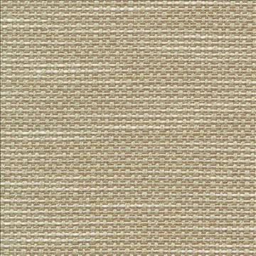 Standing Ovation Frost by Kasmir Fabric 1376 100% Polyester INDIA 30,000 Wyzenbeek Double Rubs H: N/A, V: N/A 54 - 55 - Fabric Carolina - Kasmir