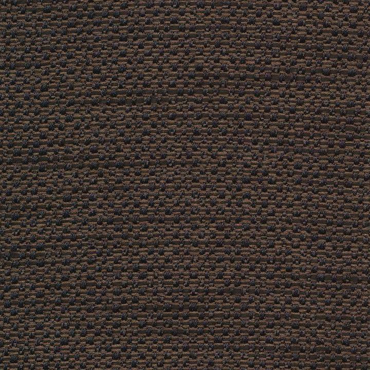 Standing Ovation Jaguar by Kasmir Fabric 1376 INDIA 30,000 Wyzenbeek Double Rubs H: N/A, V:N/A 54 - 55 - Fabric Carolina - Kasmir