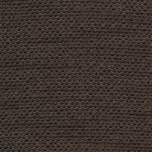 Standing Ovation Jaguar by Kasmir Fabric