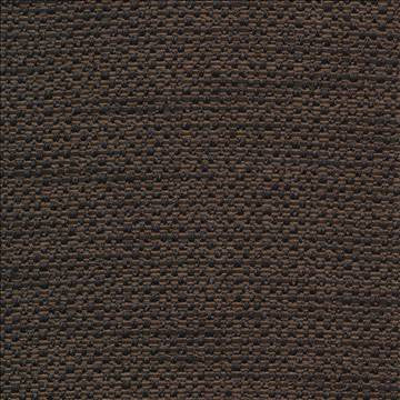 Standing Ovation Jaguar by Kasmir Fabric 1376 100% Polyester INDIA 30,000 Wyzenbeek Double Rubs H: N/A, V: N/A 54 - 55 - Fabric Carolina - Kasmir