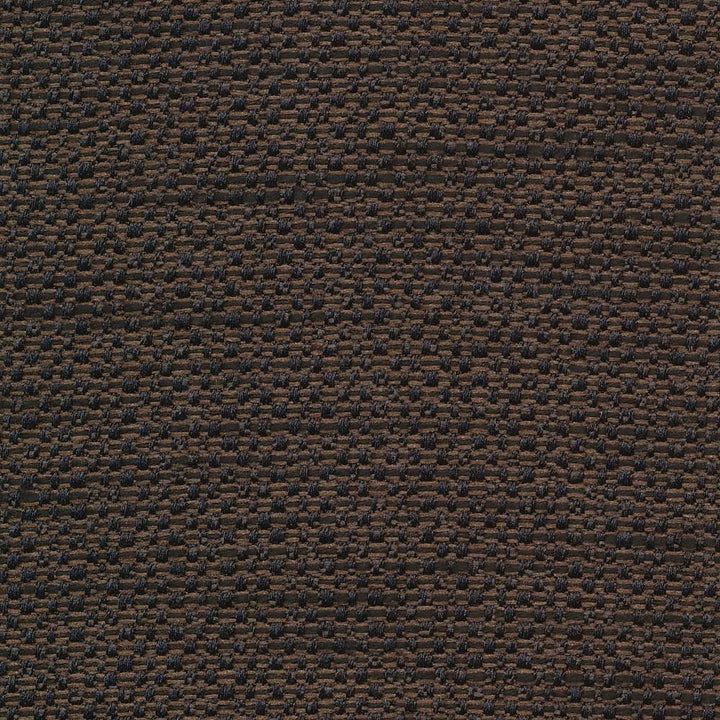Standing Ovation Jaguar  by Kasmir Fabric See sample 100% Polyester
 INDIA 30,000 Wyzenbeek Double Rubs </p><p>Repeat: Horizontal: N/A and Vertical: N/A 54  - Fabric Carolina -