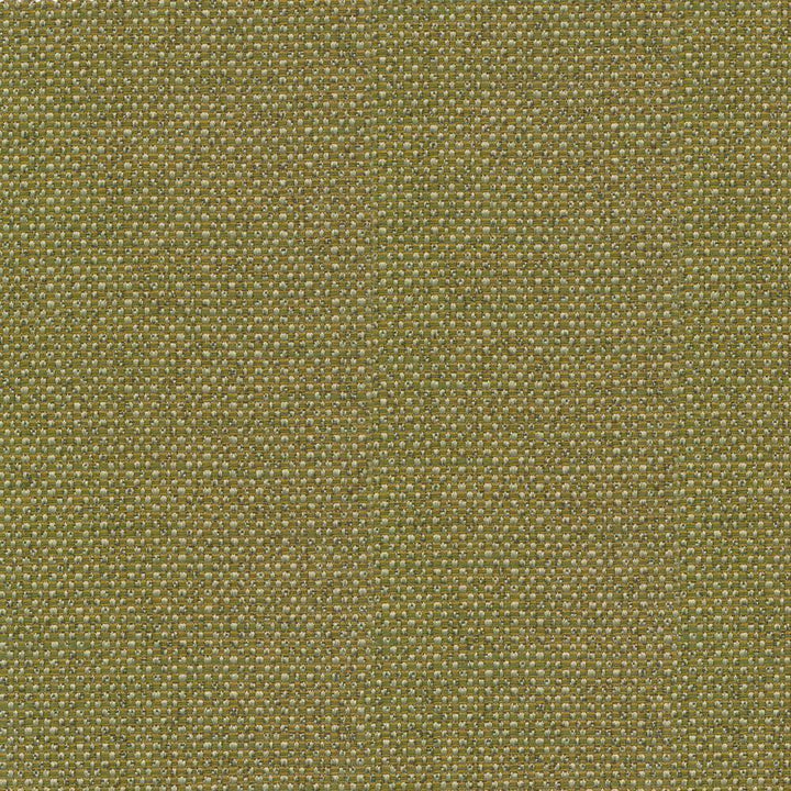 Standing Ovation Leek by Kasmir Fabric 1376 INDIA 30,000 Wyzenbeek Double Rubs H: N/A, V:N/A 54 - 55 - Fabric Carolina - Kasmir