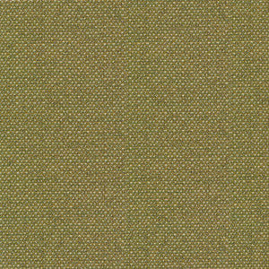 Standing Ovation Leek by Kasmir Fabric