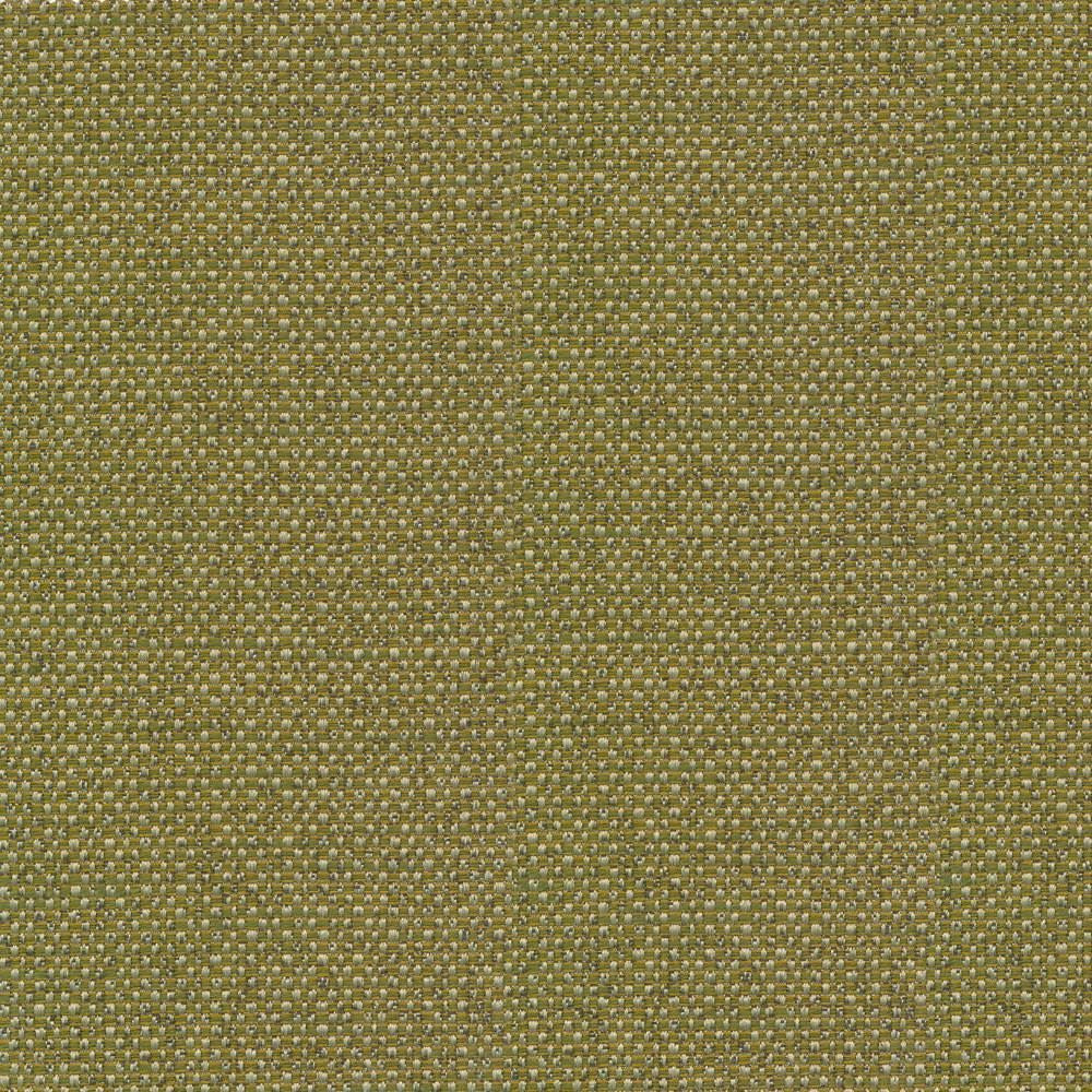 Standing Ovation Leek by Kasmir Fabric 1376 100% Polyester
 INDIA </p><p>Repeat: Horizontal: N/A and Vertical: N/A 54 - 55 - Fabric Carolina -