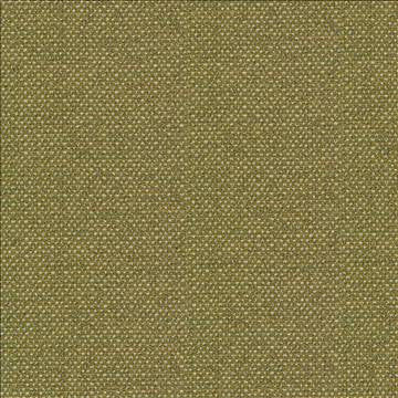 Standing Ovation Leek by Kasmir Fabric 1376 100% Polyester INDIA 30,000 Wyzenbeek Double Rubs H: N/A, V: N/A 54 - 55 - Fabric Carolina - Kasmir