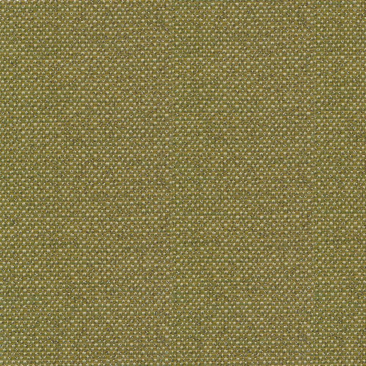 Standing Ovation Leek  by Kasmir Fabric See sample 100% Polyester
 INDIA 30,000 Wyzenbeek Double Rubs </p><p>Repeat: Horizontal: N/A and Vertical: N/A 54  - Fabric Carolina -