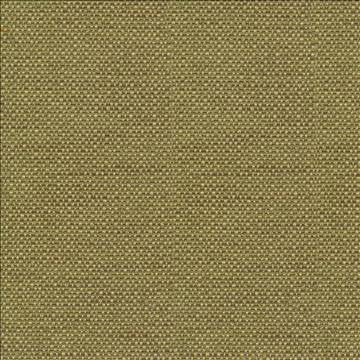 Standing Ovation Olive by Kasmir Fabric 1376 100% Polyester INDIA 30,000 Wyzenbeek Double Rubs H: N/A, V: N/A 54 - 55 - Fabric Carolina - Kasmir