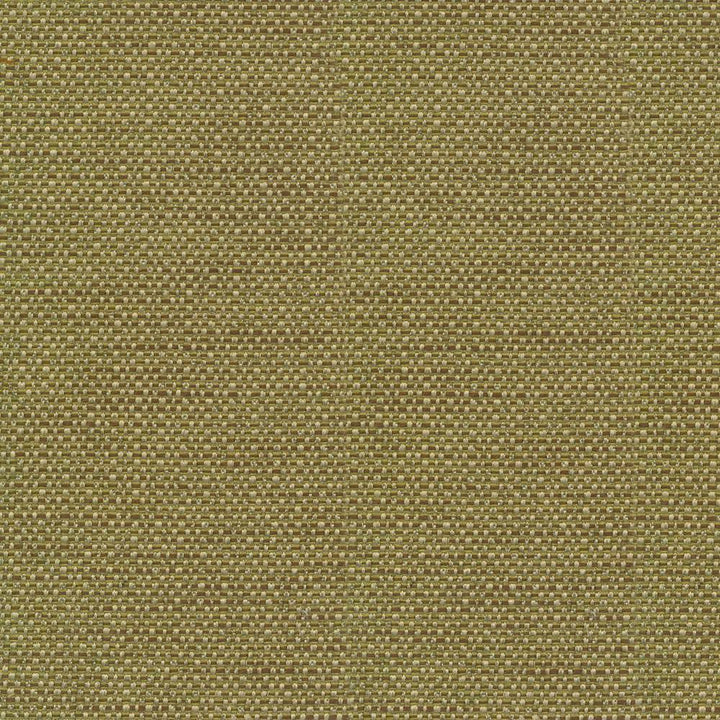 Standing Ovation Olive by Kasmir Fabric 1376 INDIA 30,000 Wyzenbeek Double Rubs H: N/A, V:N/A 54 - 55 - Fabric Carolina - Kasmir