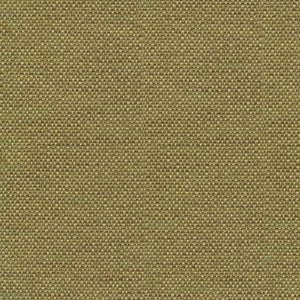 Standing Ovation Olive by Kasmir Fabric