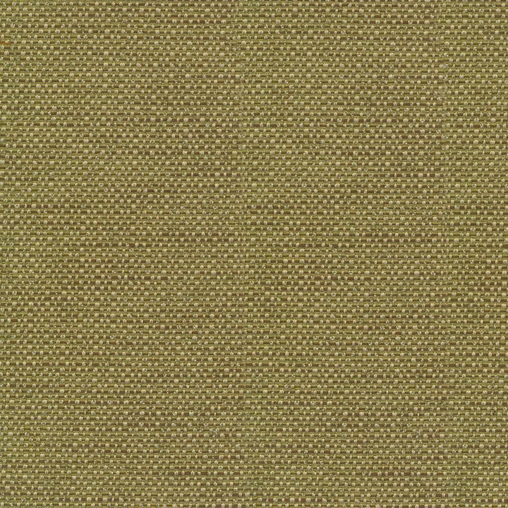 Standing Ovation Olive by Kasmir Fabric 1376 100% Polyester
 INDIA </p><p>Repeat: Horizontal: N/A and Vertical: N/A 54 - 55 - Fabric Carolina -