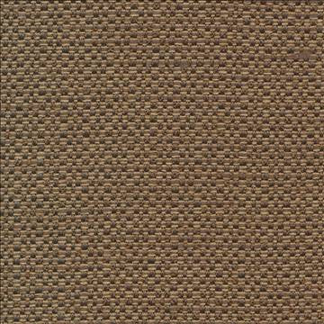 Standing Ovation Pecan by Kasmir Fabric 1376 100% Polyester INDIA 30,000 Wyzenbeek Double Rubs H: N/A, V: N/A 54 - 55 - Fabric Carolina - Kasmir