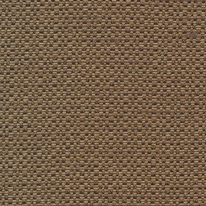 Standing Ovation Pecan by Kasmir Fabric 1376 INDIA 30,000 Wyzenbeek Double Rubs H: N/A, V:N/A 54 - 55 - Fabric Carolina - Kasmir