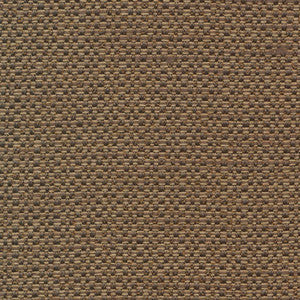 Standing Ovation Pecan by Kasmir Fabric