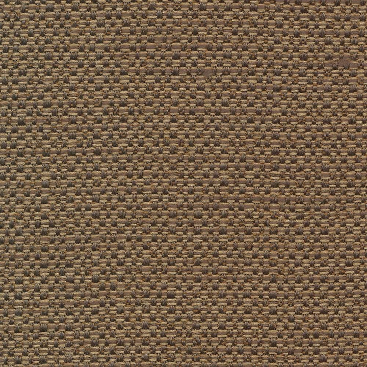Standing Ovation Pecan by Kasmir Fabric 1376 100% Polyester
 INDIA 30,000 Wyzenbeek Double Rubs Horizontal: N/A and Vertical: N/A 54 - Fabric Carolina -
