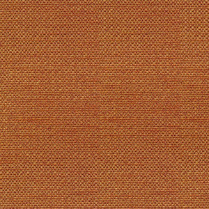 Standing Ovation Spice by Kasmir Fabric