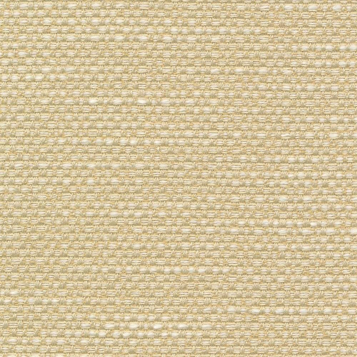Standing Ovation Sunlight by Kasmir Fabric 1376 100% Polyester
 INDIA 30,000 Wyzenbeek Double Rubs </p><p>Repeat: Horizontal: N/A and Vertical: N/A 54 - Fabric Carolina -