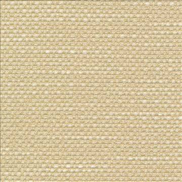 Standing Ovation Sunlight by Kasmir Fabric 1376 100% Polyester INDIA 30,000 Wyzenbeek Double Rubs H: N/A, V: N/A 54 - 55 - Fabric Carolina - Kasmir