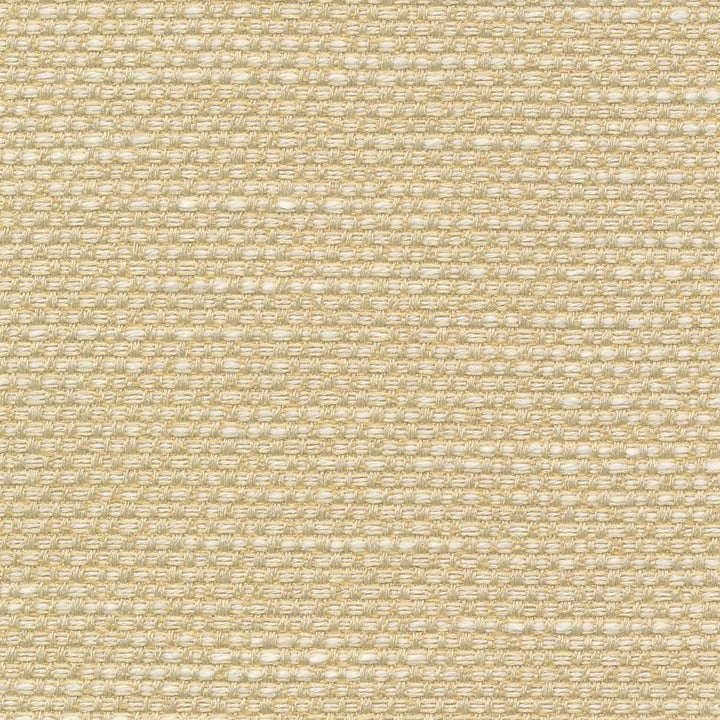 Standing Ovation Sunlight by Kasmir Fabric 1376 INDIA 30,000 Wyzenbeek Double Rubs H: N/A, V:N/A 54 - 55 - Fabric Carolina - Kasmir