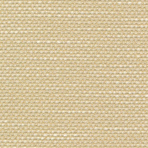 Standing Ovation Sunlight by Kasmir Fabric
