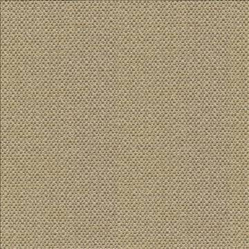 Standing Ovation Thyme by Kasmir Fabric 1376 100% Polyester INDIA 30,000 Wyzenbeek Double Rubs H: N/A, V: N/A 54 - 55 - Fabric Carolina - Kasmir