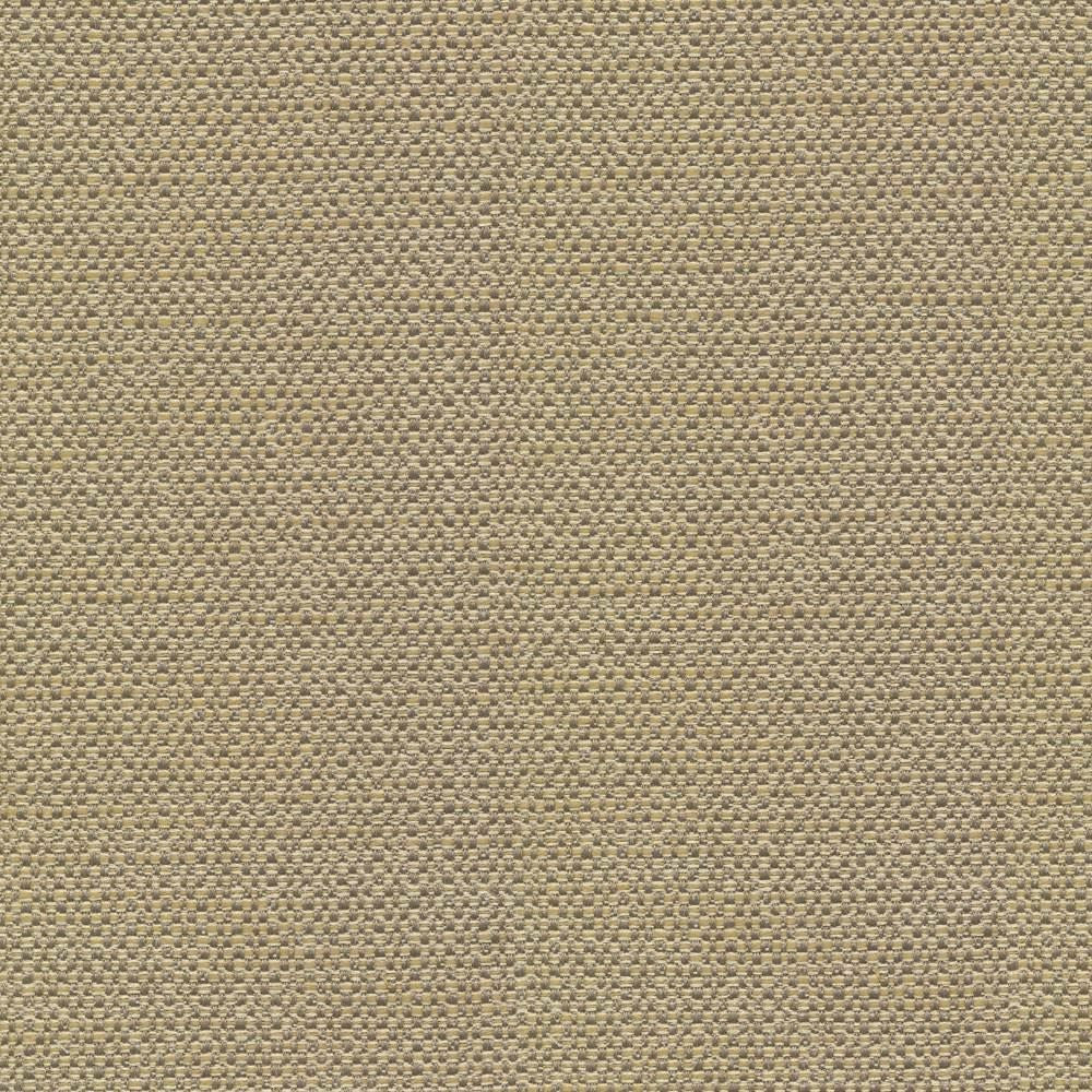 Standing Ovation Thyme by Kasmir Fabric 1376 100% Polyester
 INDIA </p><p>Repeat: Horizontal: N/A and Vertical: N/A 54 - 55 - Fabric Carolina -