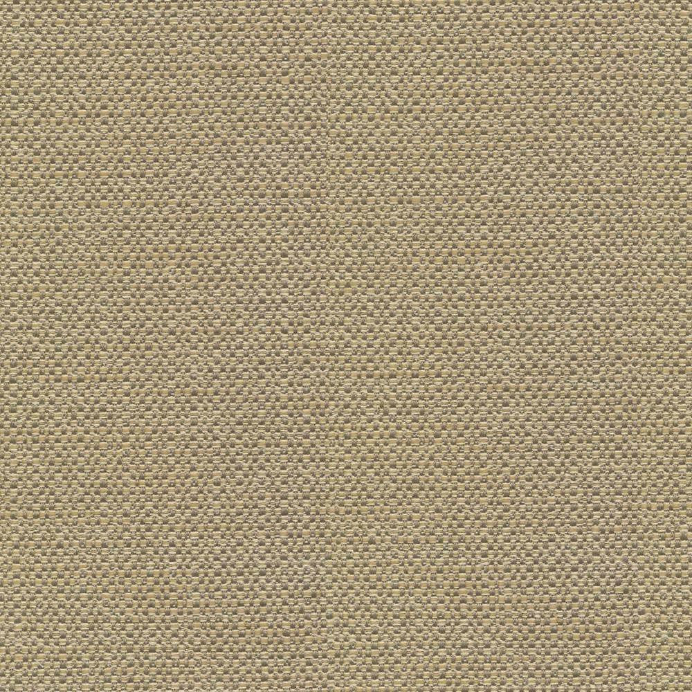 Standing Ovation Thyme by Kasmir Fabric 1376 INDIA 30,000 Wyzenbeek Double Rubs H: N/A, V:N/A 54 - 55 - Fabric Carolina - Kasmir