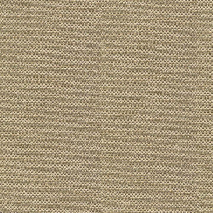 Standing Ovation Thyme by Kasmir Fabric 1376 INDIA 30,000 Wyzenbeek Double Rubs H: N/A, V:N/A 54 - 55 - Fabric Carolina - Kasmir