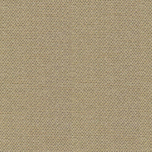 Standing Ovation Thyme by Kasmir Fabric