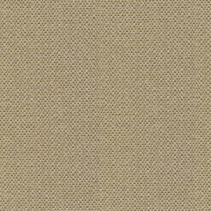 Standing Ovation Thyme by Kasmir Fabric 1376 100% Polyester
 INDIA 30,000 Wyzenbeek Double Rubs Horizontal: N/A and Vertical: N/A 54 - Fabric Carolina -