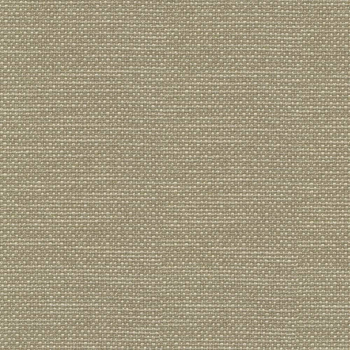 Standing Ovation Wasabi by Kasmir Fabric 1376 INDIA 30,000 Wyzenbeek Double Rubs H: N/A, V:N/A 54 - 55 - Fabric Carolina - Kasmir