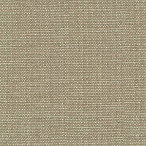Standing Ovation Wasabi by Kasmir Fabric