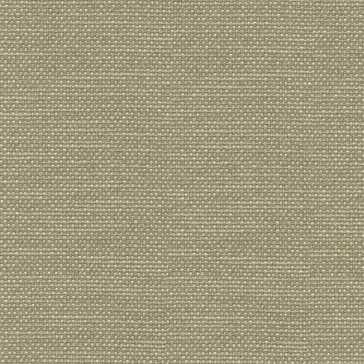 Standing Ovation Wasabi by Kasmir Fabric 1376 100% Polyester
 INDIA </p><p>Repeat: Horizontal: N/A and Vertical: N/A 54 - 55 - Fabric Carolina -