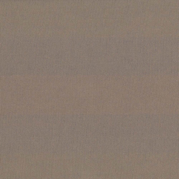 St Dupont Dark Taupe by Kasmir Fabric 5045 54% Cotton
46% Polyester
 INDIA </p><p>Repeat: Horizontal: N/A and Vertical: N/A 54 - Fabric Carolina -