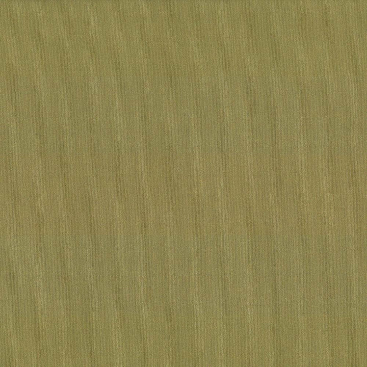St Dupont Olive by Kasmir Fabric 5045 54% Cotton
46% Polyester
 INDIA </p><p>Repeat: Horizontal: N/A and Vertical: N/A 54 - Fabric Carolina -