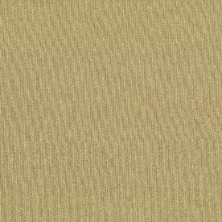 St Dupont Tahini by Kasmir Fabric 5045 54% Cotton
46% Polyester
 INDIA </p><p>Repeat: Horizontal: N/A and Vertical: N/A 54 - Fabric Carolina -