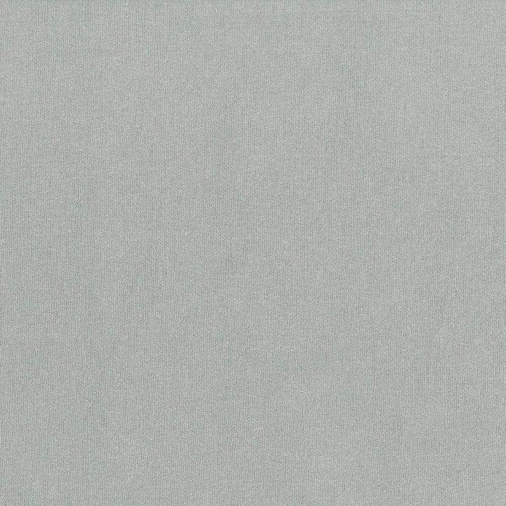St Dupont Zinc by Kasmir Fabric 5045 54% Cotton
46% Polyester
 INDIA </p><p>Repeat: Horizontal: N/A and Vertical: N/A 54 - Fabric Carolina -