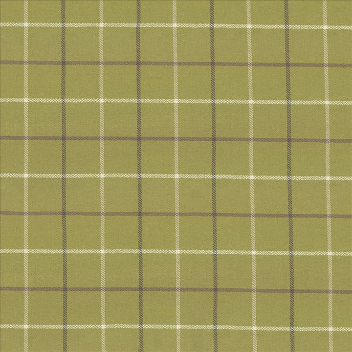 Steinbeck Check Palm by Kasmir Fabric 1446 50% Polyester
50% Viscose
 CHINA 68,000 Martindale Cycles </p><p>Repeat: Horizontal: 5 inches and Vertical: 5 inches 57 - Fabric Carolina -