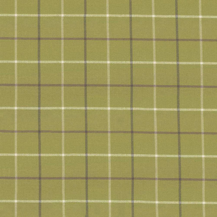 Steinbeck Check Palm by Kasmir Fabric 1446 CHINA 68,000 Martindale Cycles H: 5 inches, V:5 inches 57 - Fabric Carolina - Kasmir