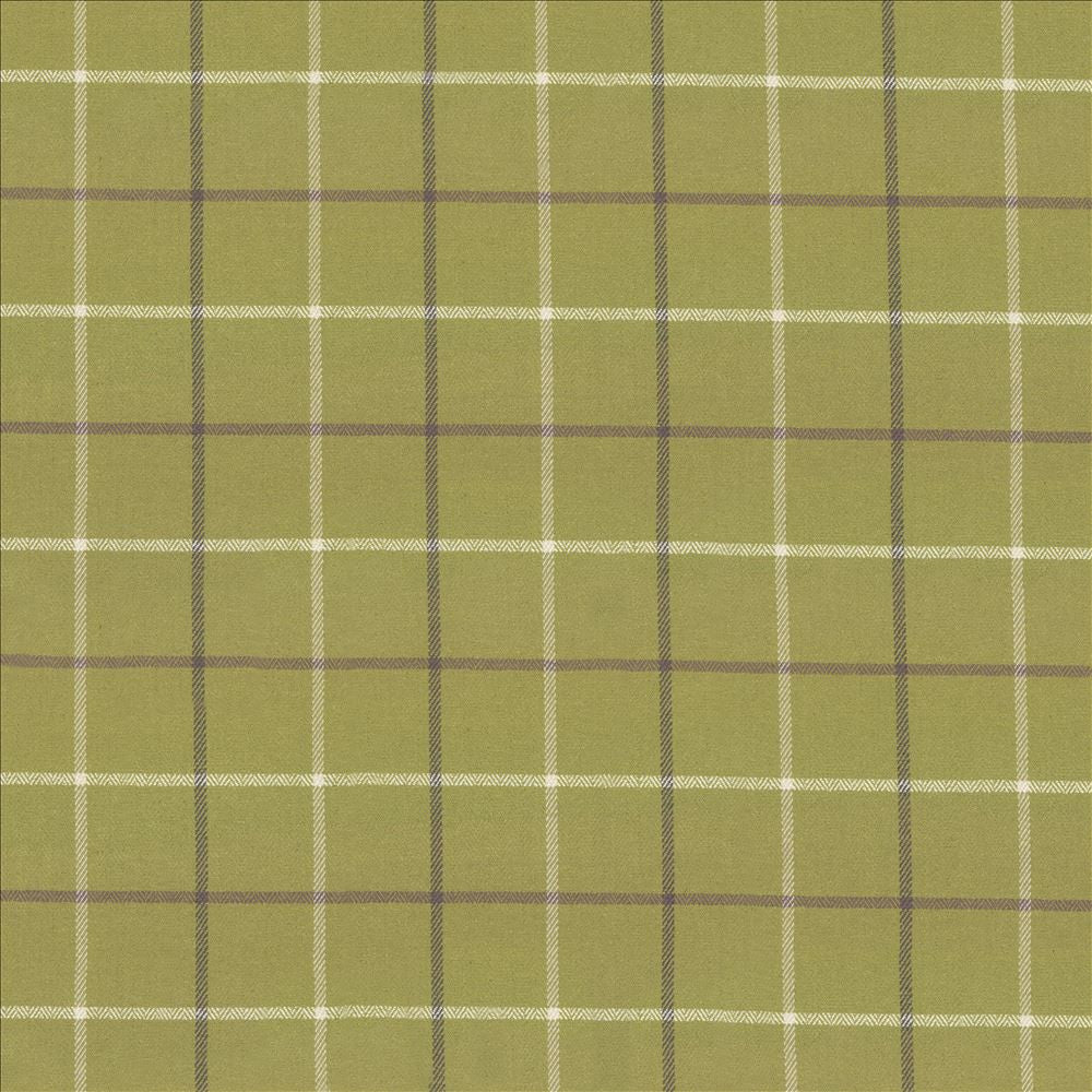 Steinbeck Check Palm by Kasmir Fabric 1446 50% Polyester
50% Viscose
 CHINA </p><p>Repeat: Horizontal: 5 inches and Vertical: 5 inches 57 - Fabric Carolina -