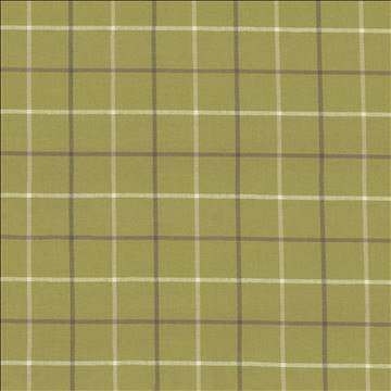 Steinbeck Check Palm by Kasmir Fabric 1446 50% Polyester 50% Viscose CHINA 68,000 Martindale Cycles H: 5 inches, V: 5 inches 57 - Fabric Carolina - Kasmir